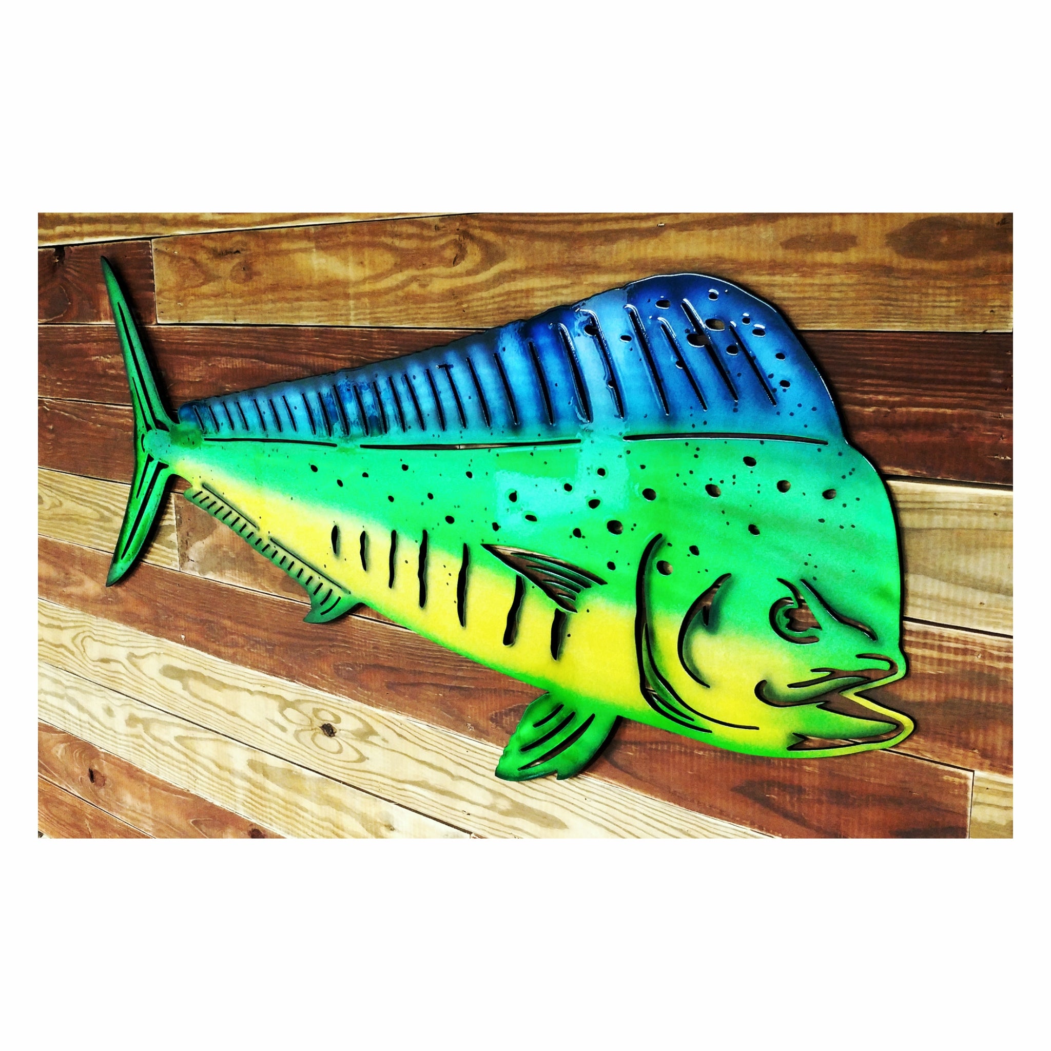 Mahi Mahi - Fish Species Pliers - Danco